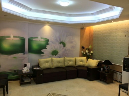 دکتر بهزاد معظمی انیسی