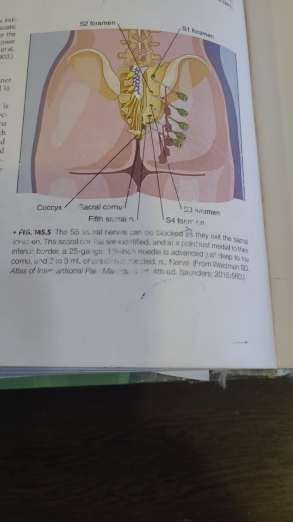 دکتر حمید وطن دوست