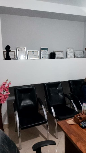 فریده دولتی