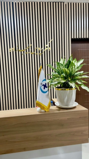 پردیس حبیب زاده