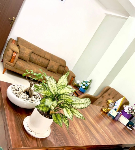 پردیس حبیب زاده