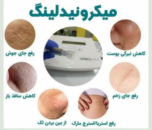 دکتر فاطمه شکاری