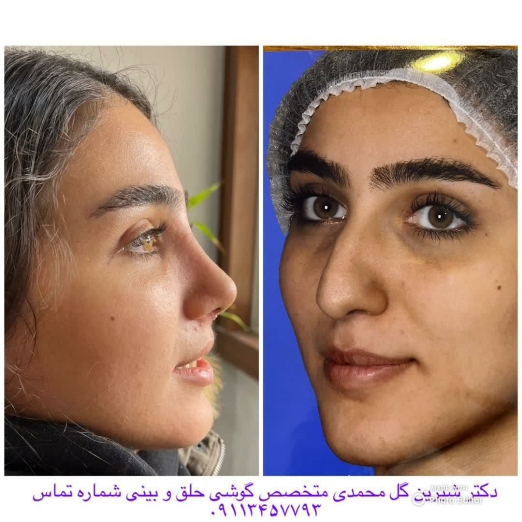 دکتر شیرین گل محمدی