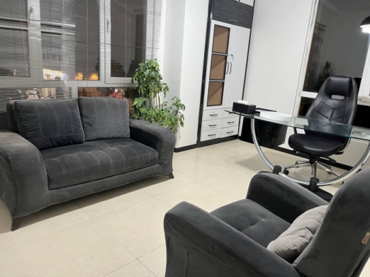 همایون افشین