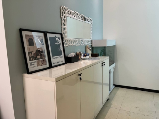 همایون افشین