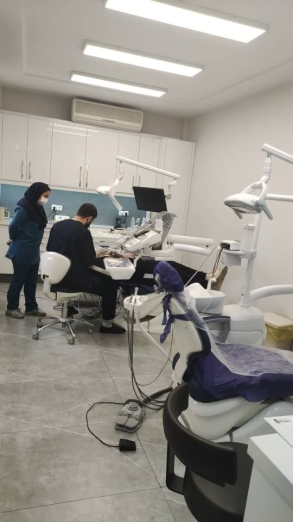 دکتر مهدی بحرینی