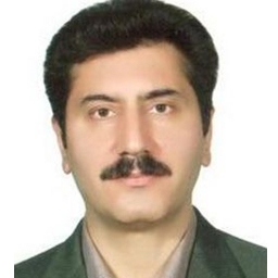 دکتر محمد حسین حسامی رستمی 
