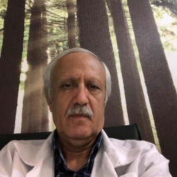 دکتر مصطفی افشارلر 