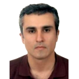 دکتر مجید محمدی 