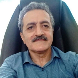 دکتر سید مصطفی لنگری 